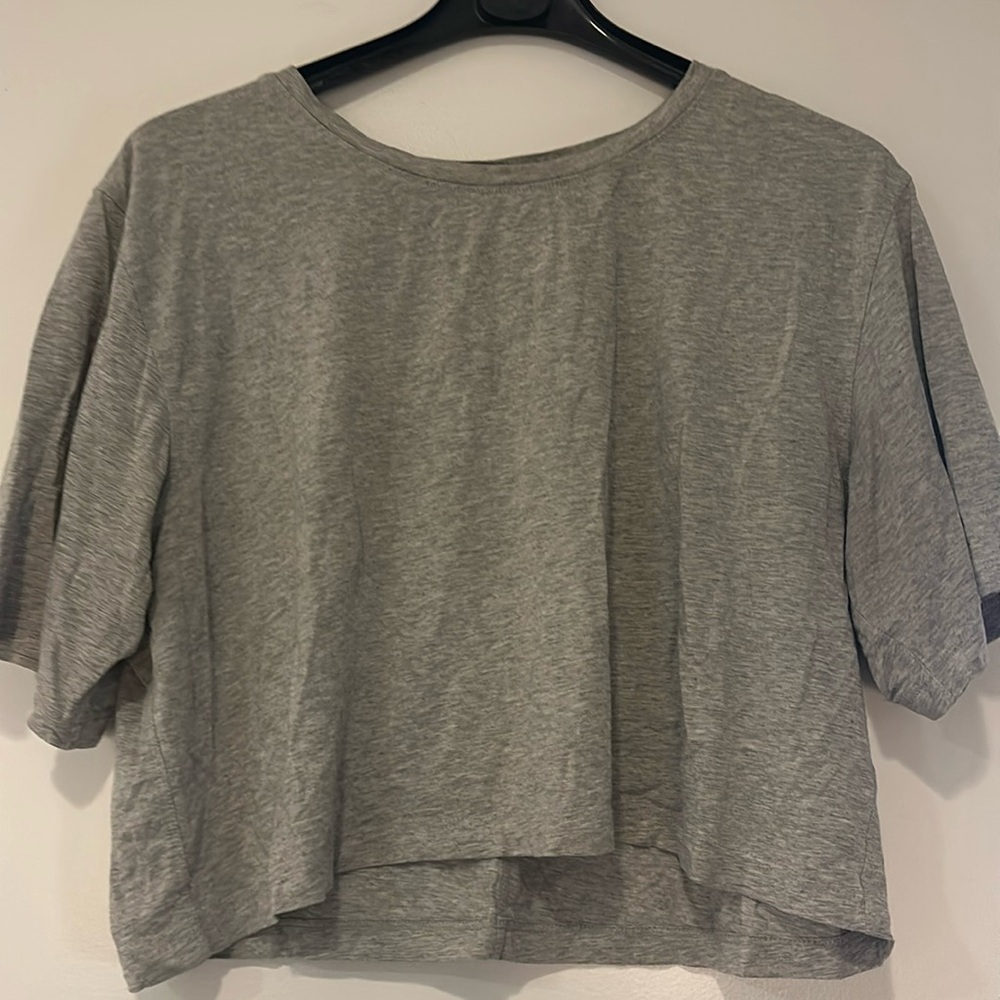 Babaton Aritzia Gray Everyday Crop T-Shirt